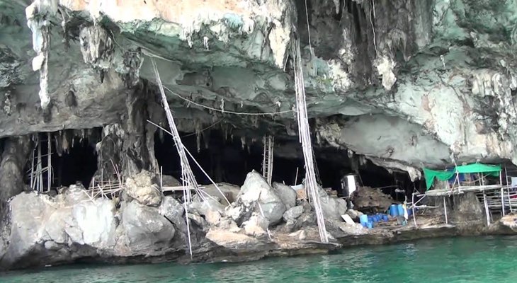 Phi Phi en Khai eilanden per speedboot viking cave