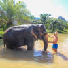 baden met olifanten krabi