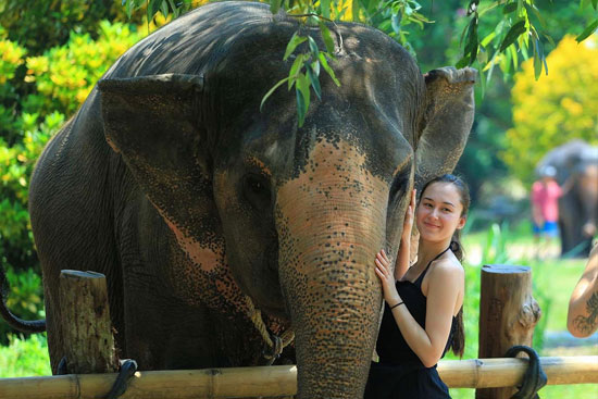 excursie krabi elephant house sanctuary