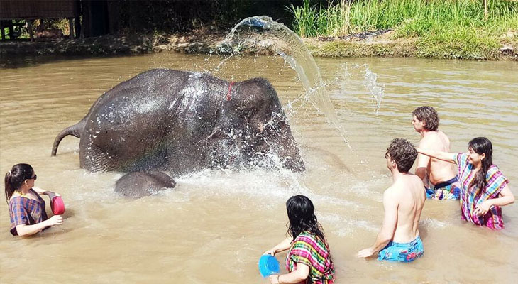 olifanten baden chiang mai excursie