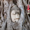 boeddha hoofd boom ayutthaya excursie