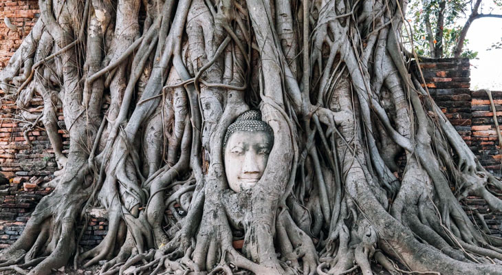 stenen boeddha Wat Phra Mahathat